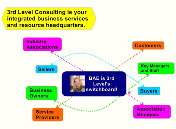Barbara Anne is the Switchboard for 3rd Level Consulting